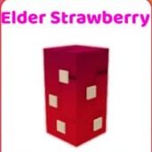 Elder Strawberry